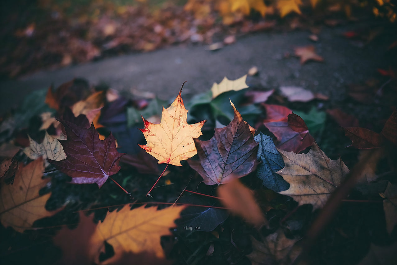 Fall Magnet Care Tips | Protect Magnetic Signs in Cold Weather