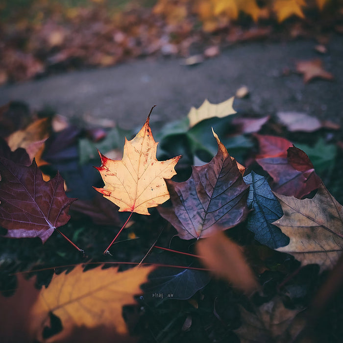 Fall Magnet Care Tips | Protect Magnetic Signs in Cold Weather