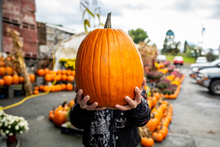 Creative Ways to Use Custom Magnetic Signs for Fall Events